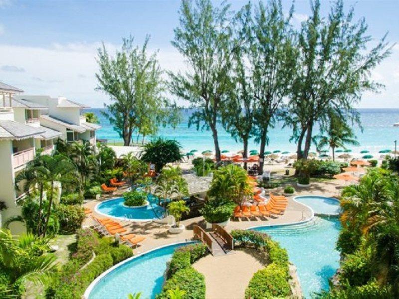 Bougainvillea Barbados